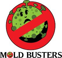 Mold_Busters_header